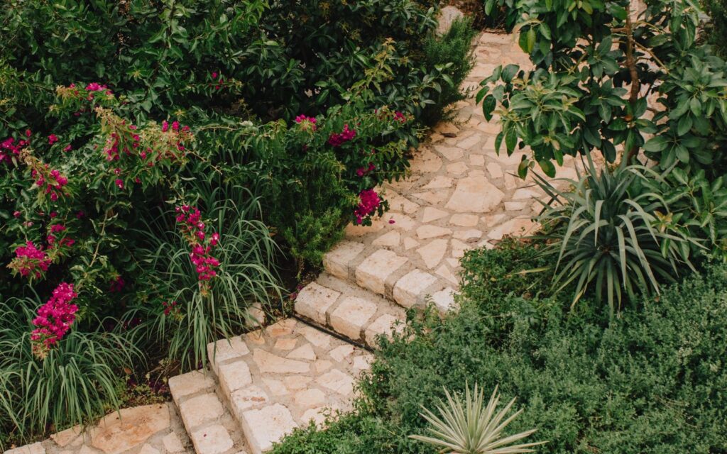 Stone path leading through flowering shrubs in a garden