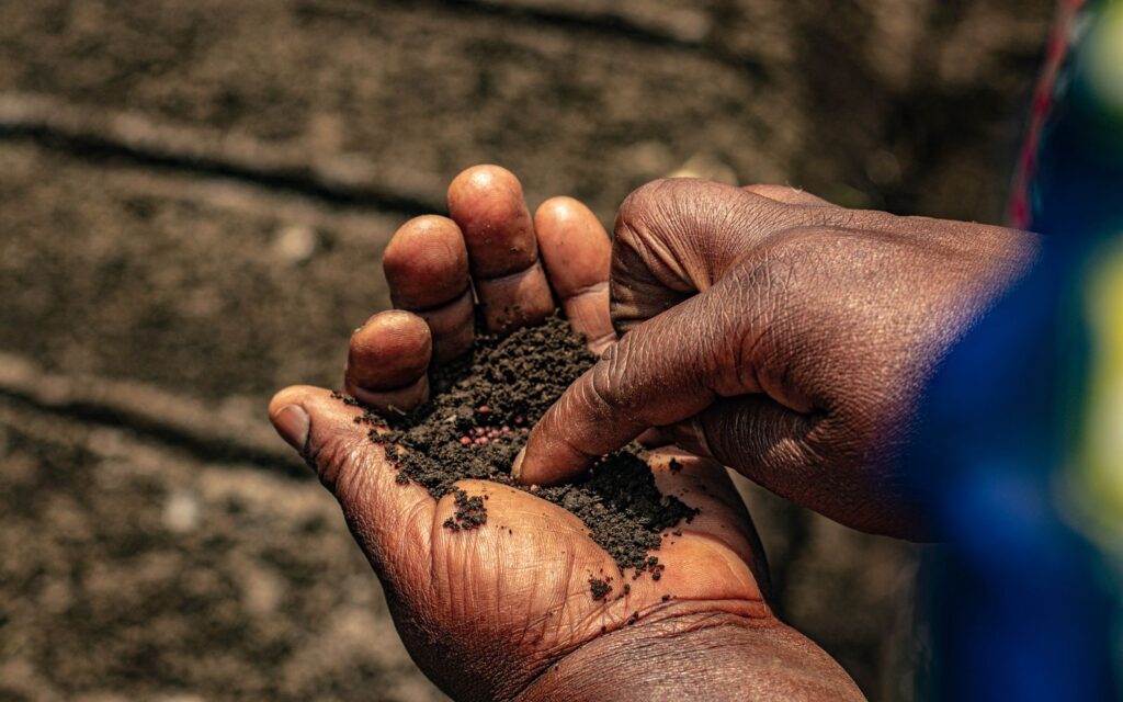 Hands holding rich garden soil