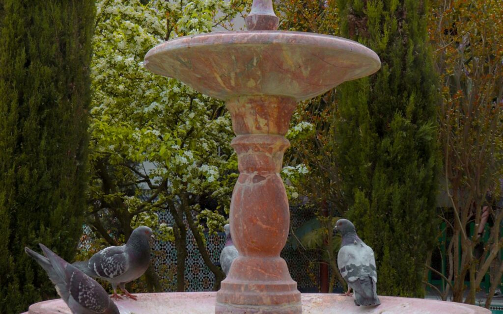 Bird bath as a focal point in a garden