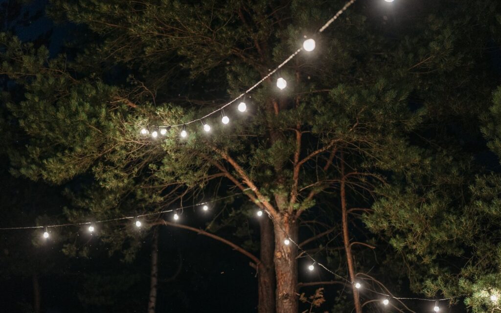 String lights hanging between trees at night