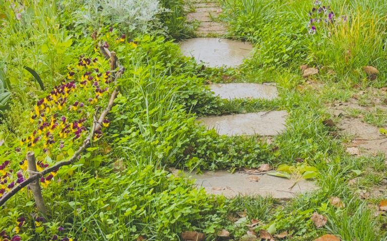 Stone path winding through a colourful garden