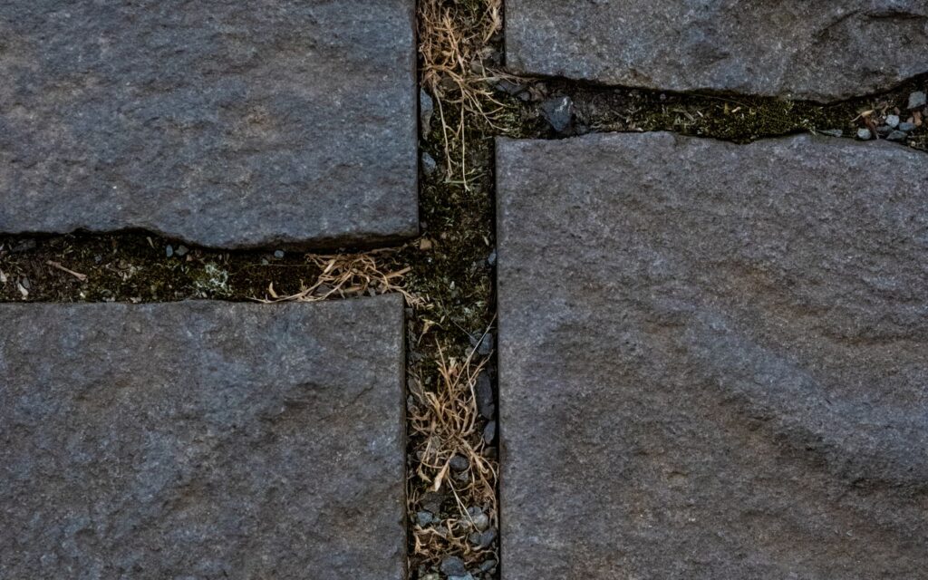 Stone path with grass and moss between the stones