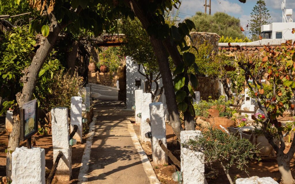 Sunny Mediterranean garden with a stone path