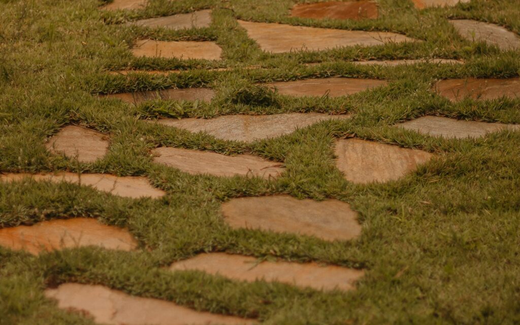Stepping stones set into a lawn