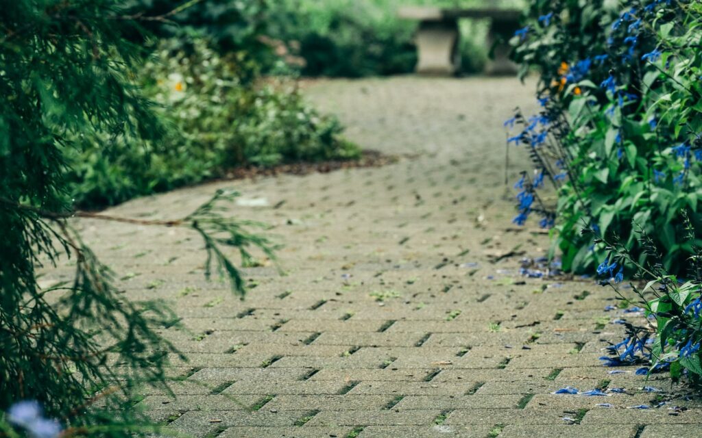 Brick path winding through a lush garden