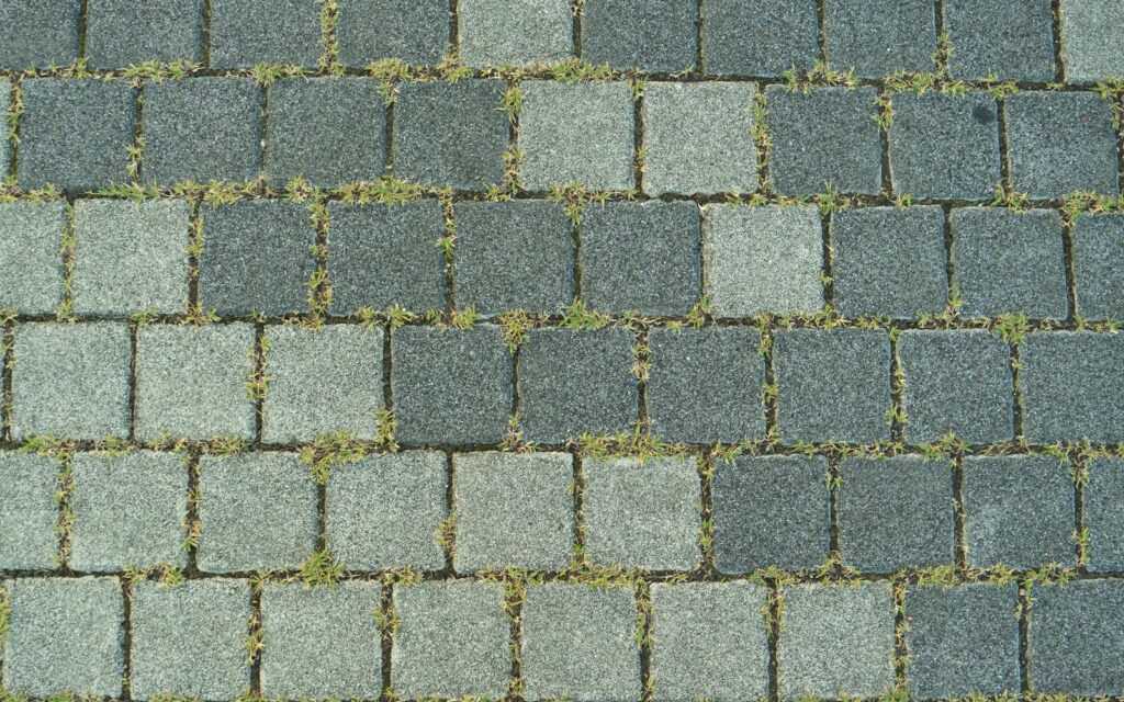 Paving stones with grass growing between them