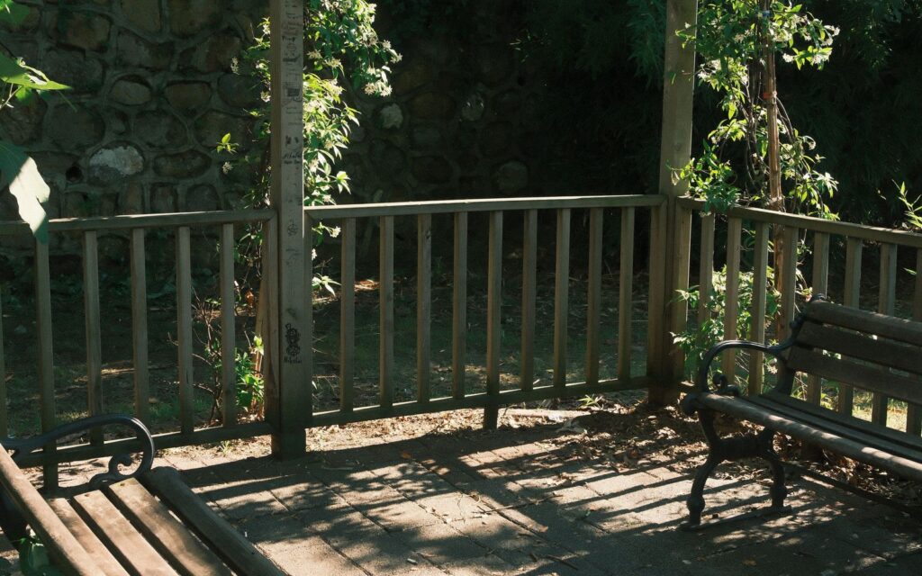 Timber pergola with benches in a sunny garden retreat