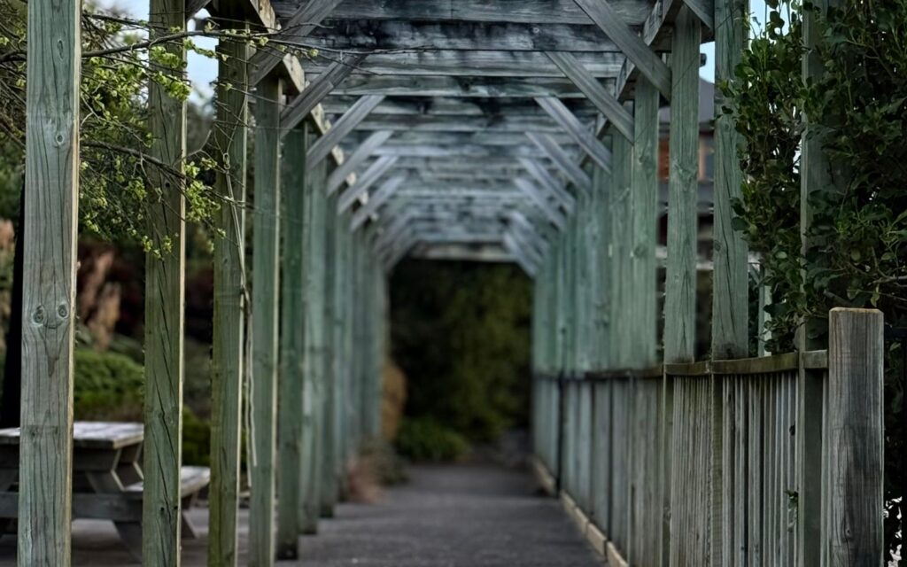 Rustic timber pergola in a tranquil garden