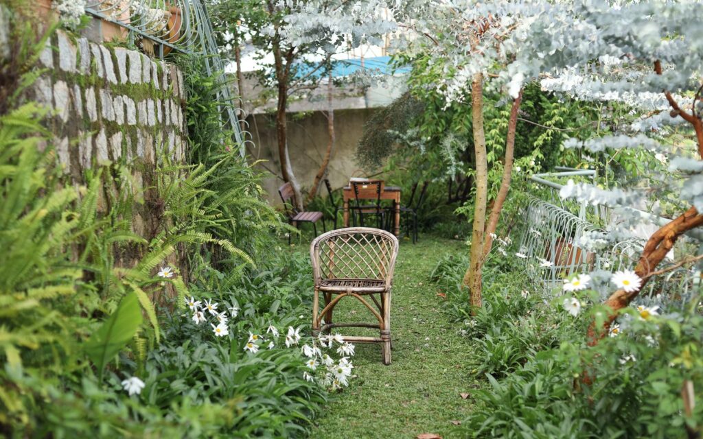 Garden path leading to chairs among lush planting