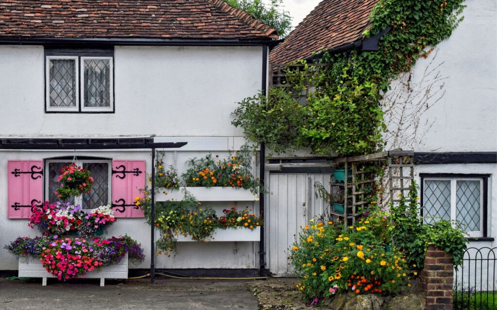 Cottage front garden packed with colourful flowers
