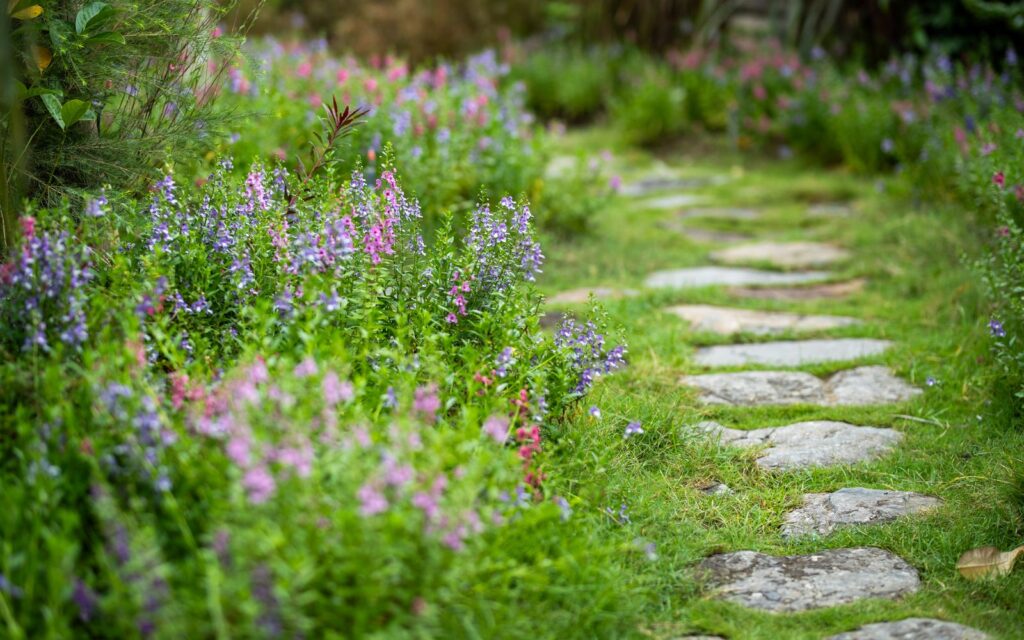 Stone path winding through cottage garden flowers