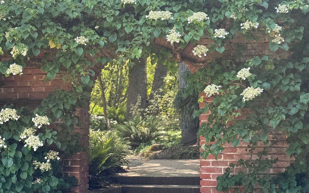 Garden archway covered in blooming flowers