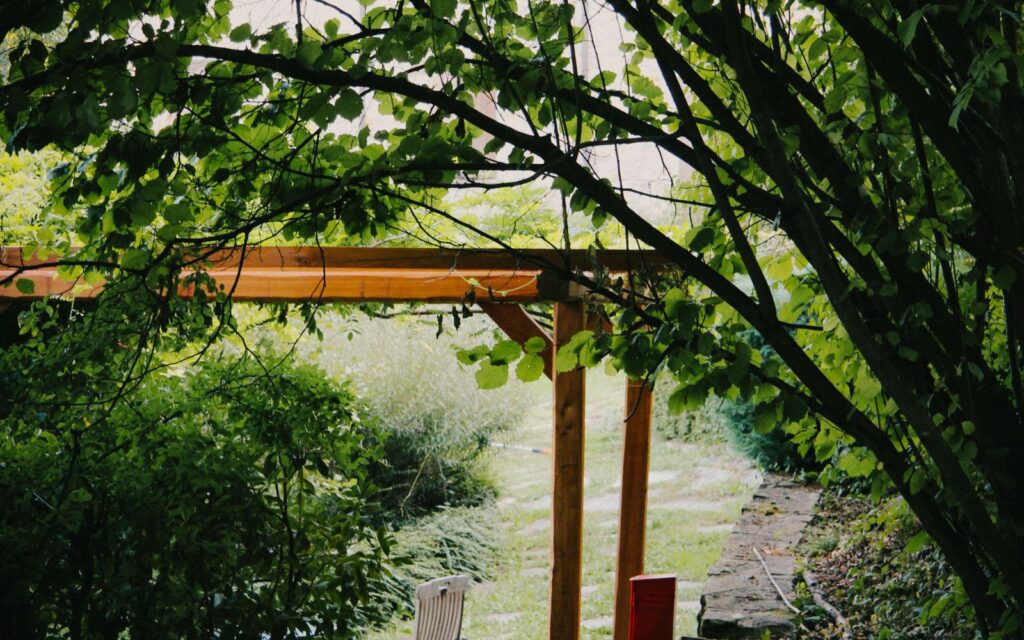 Secluded seating under a pergola in a leafy garden