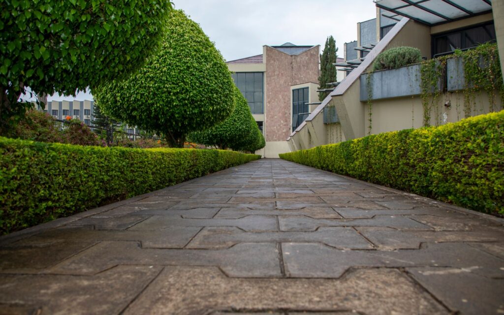 Clipped trees and hedges lining a garden path