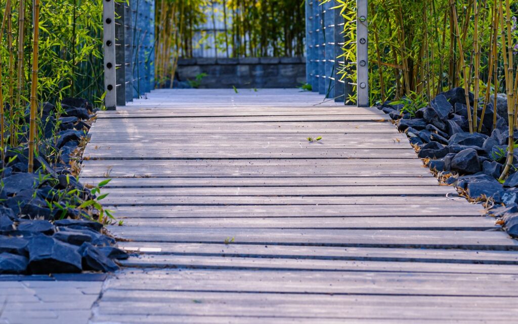 Wooden path through a screen of tall bamboo