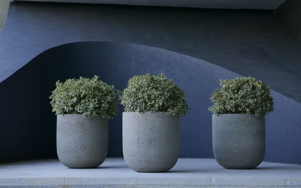 Tall planters filled with lush green foliage
