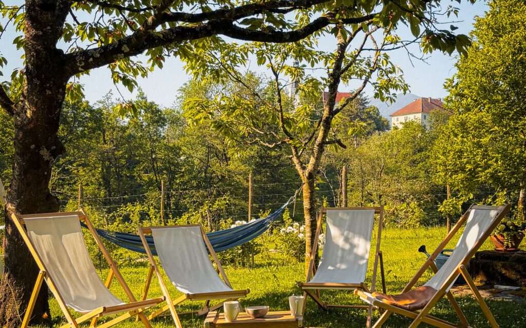 Garden seating area with deck chairs under a tree