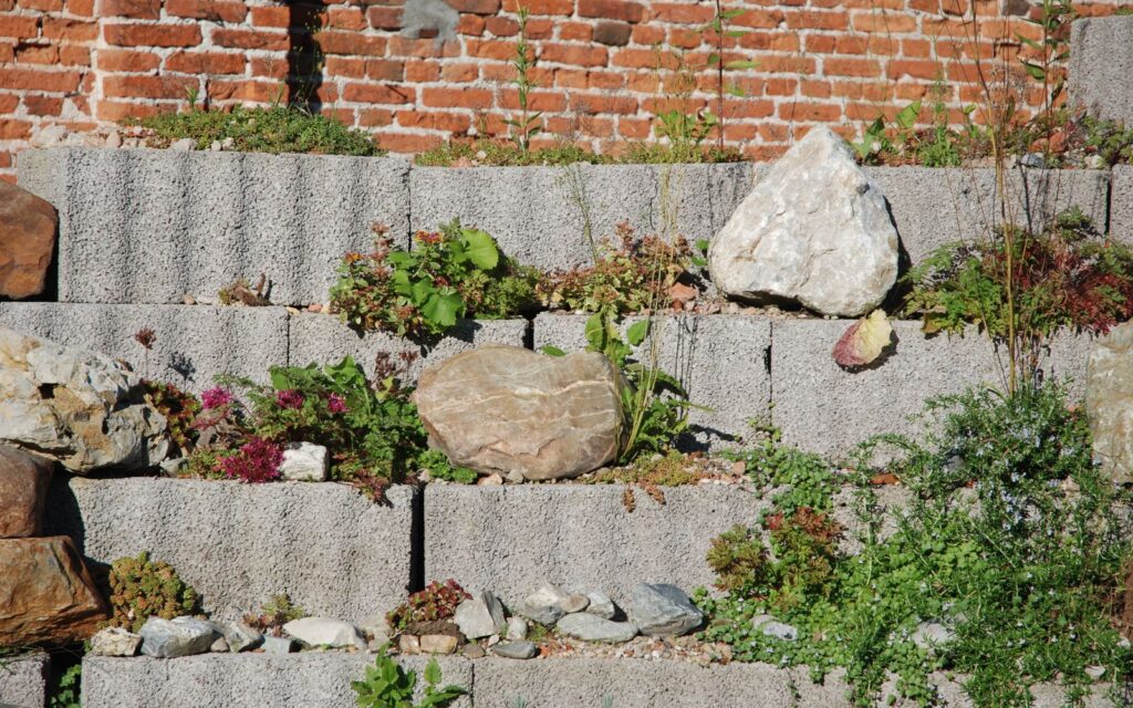 Stepped stone terrace and brick wall in a garden