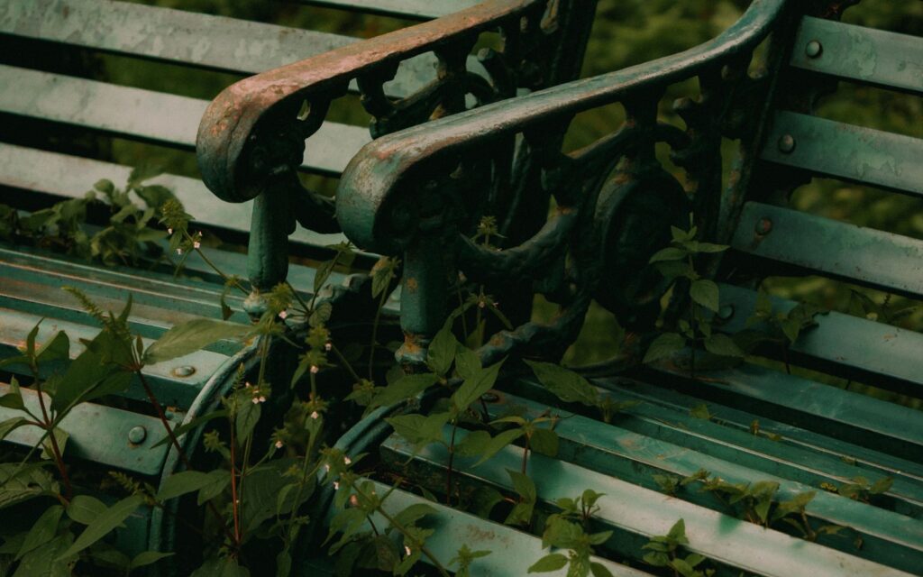 Garden benches tucked into lush greenery