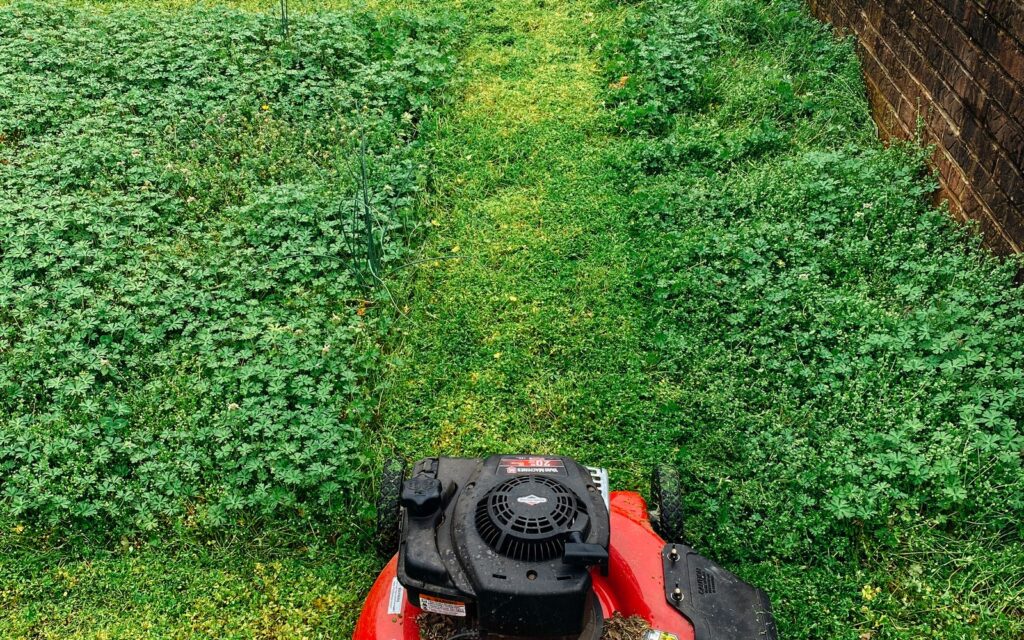 Lawn mower cutting a green lawn