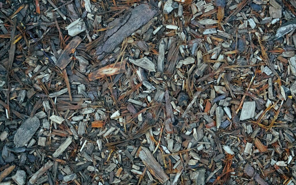 Wood chip mulch spread on a garden bed