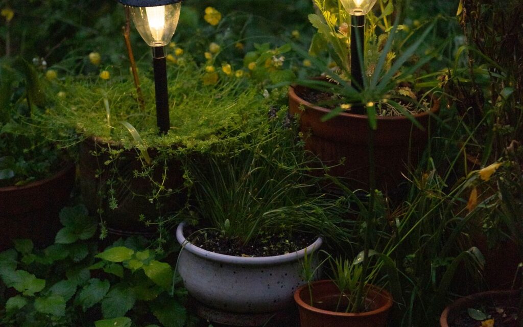 Garden lanterns glowing among potted plants