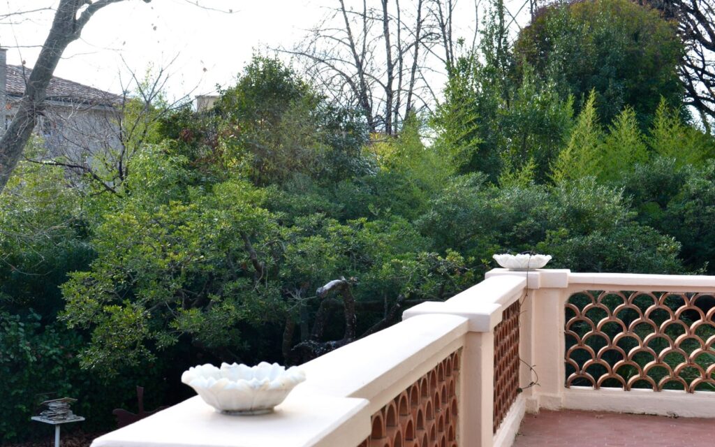 View from a terrace to tall trees beyond the garden