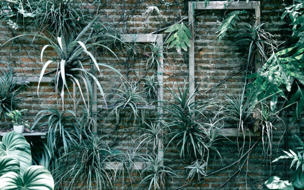 Lush planting softening a brick garden wall