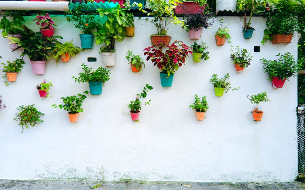 Vertical garden of potted plants on a wall