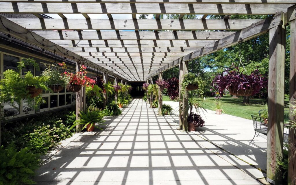 Sunlit timber pergola with lush planting