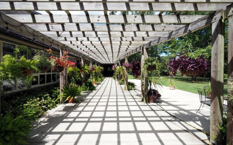 Sunlit timber pergola with lush planting