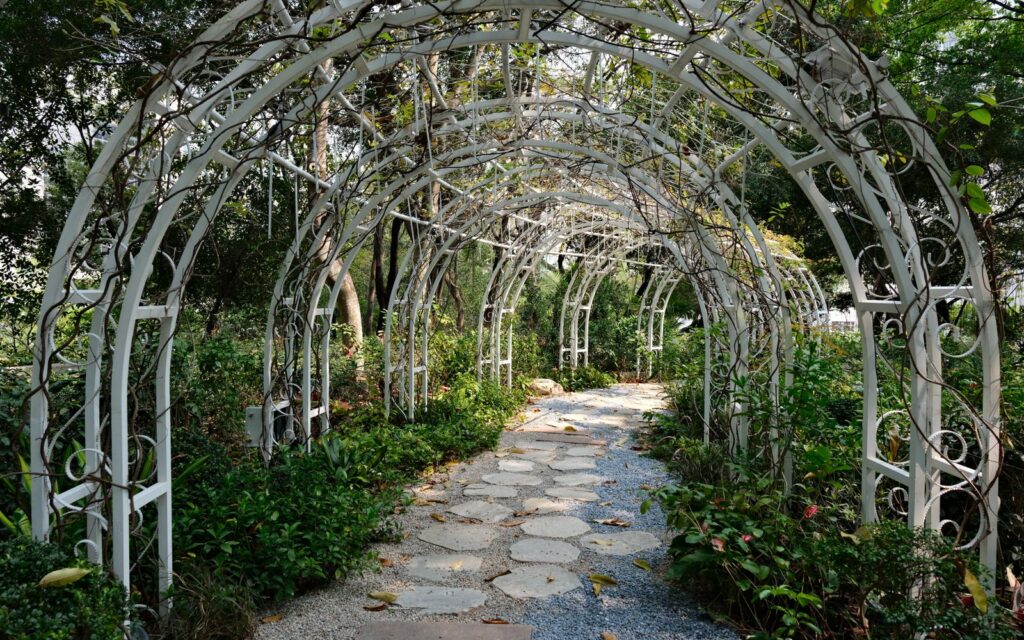 Garden path beneath a decorative metal pergola