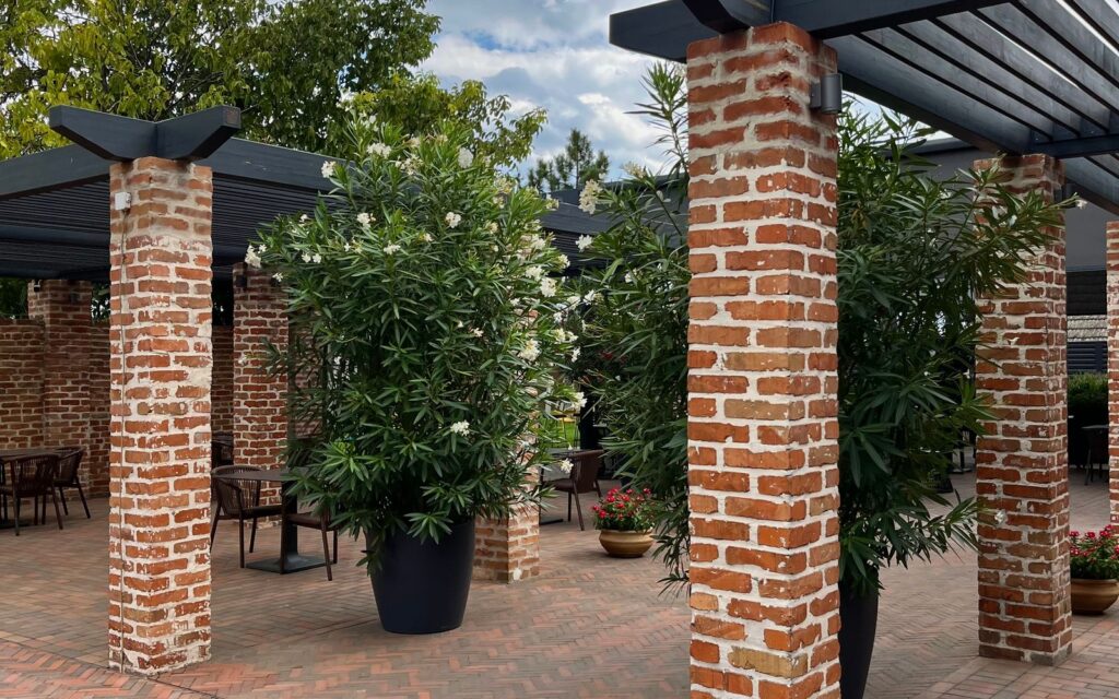 Patio with brick columns and greenery