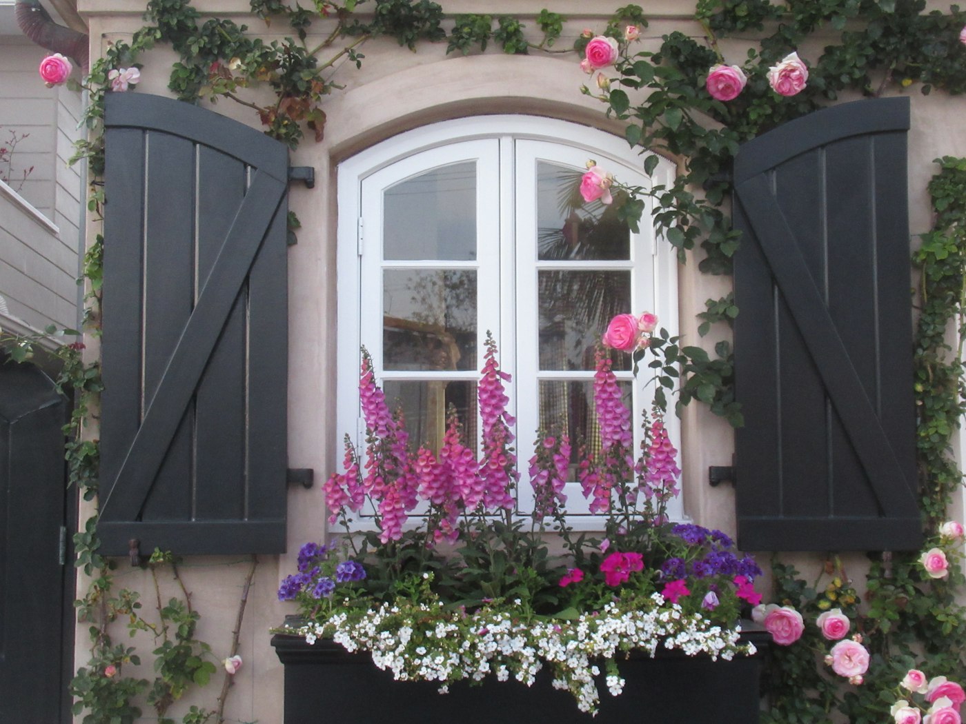 Wooden window with shutters and a window box overflowing with roses and summer flowers