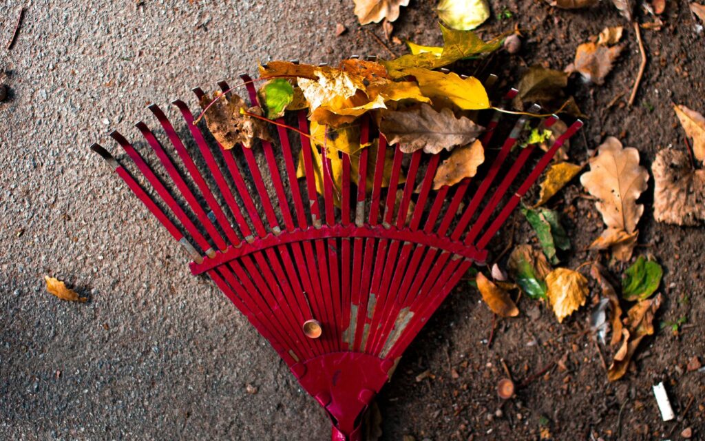 Rake and fallen autumn leaves on paving