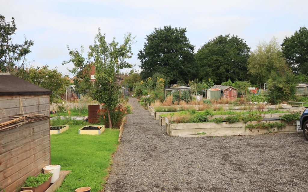 Raised beds in an English kitchen garden