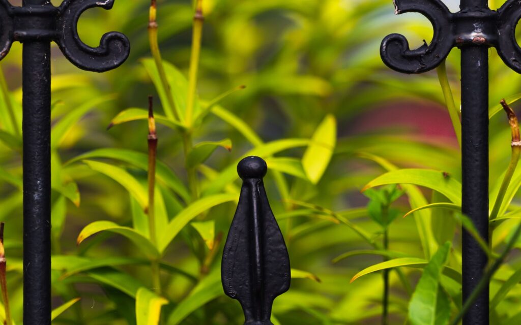 Lush planting in front of a dark garden fence