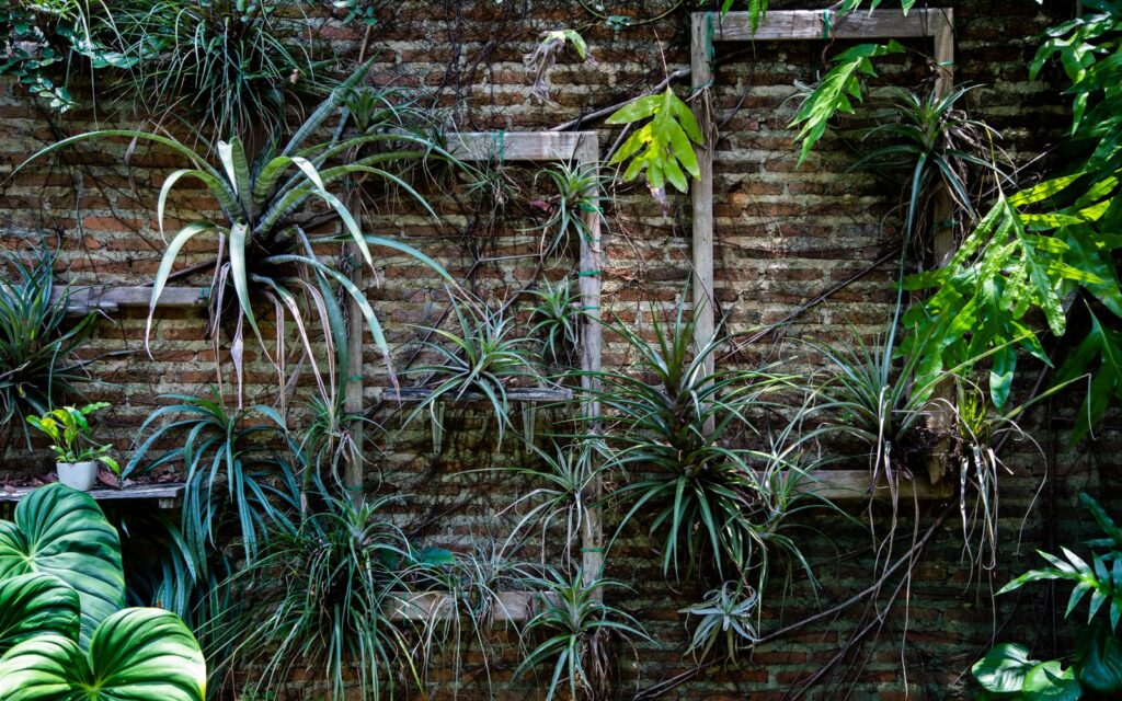 Vertical garden of green plants on a brick wall