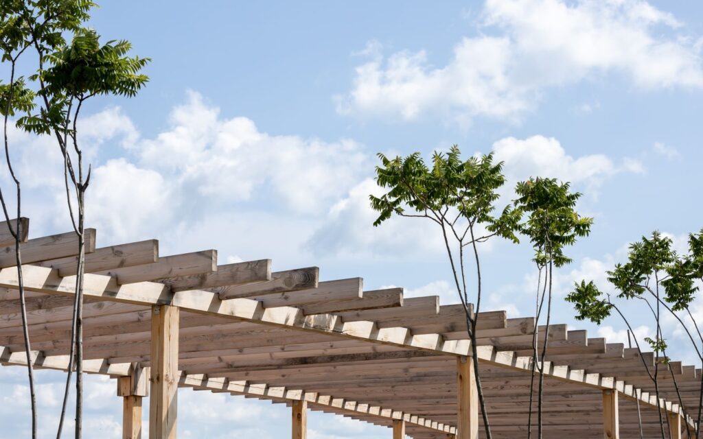 Timber frame pergola under a blue sky