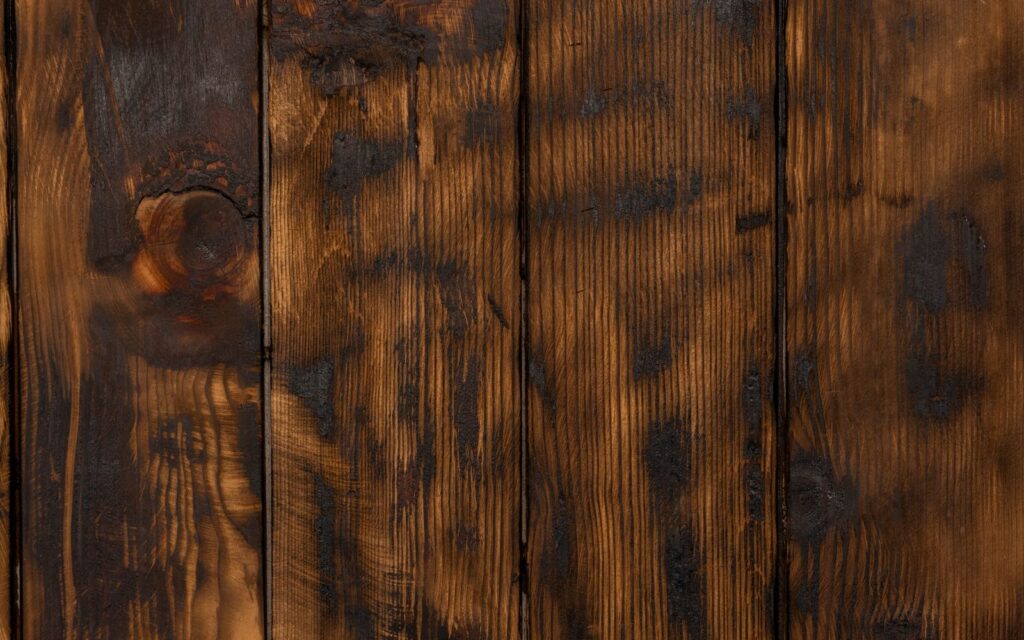 Close-up of natural timber grain