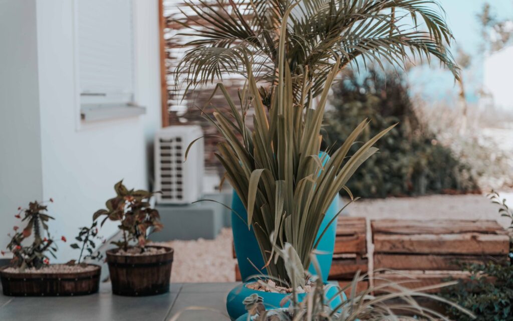 Patio filled with large potted plants