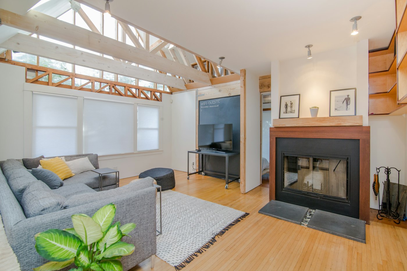 Bright living room with a grey sofa, wooden furniture and a large green houseplant