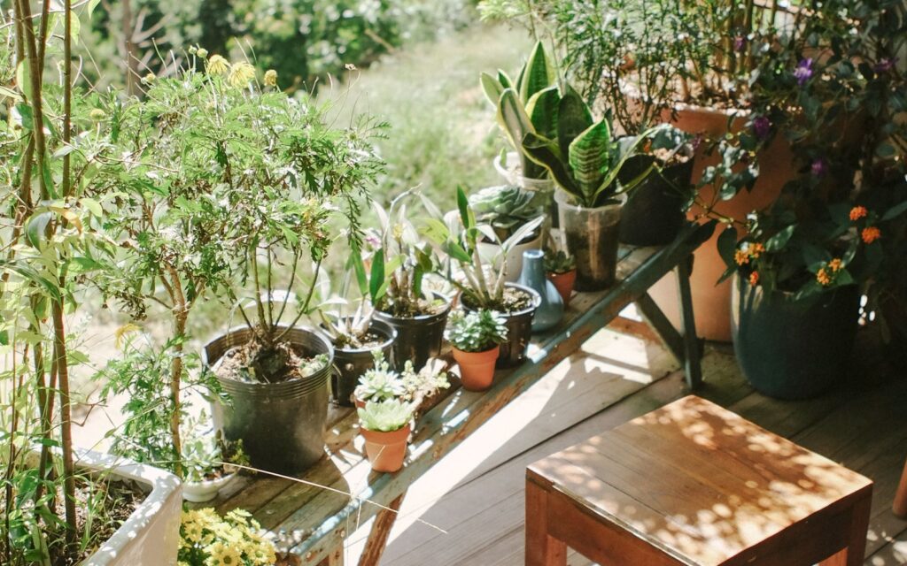 Balcony garden with potted plants